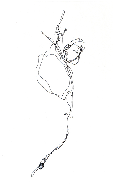 impro0113b