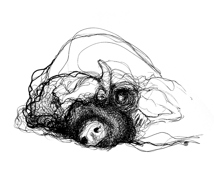 ent_etude_009